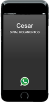 X3 Rolamentos distribuidora 