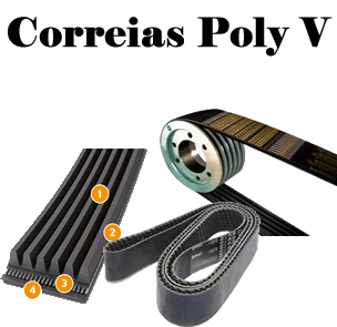Correia Poly V | Sinal Rolamentos Correias e Polias poly em V